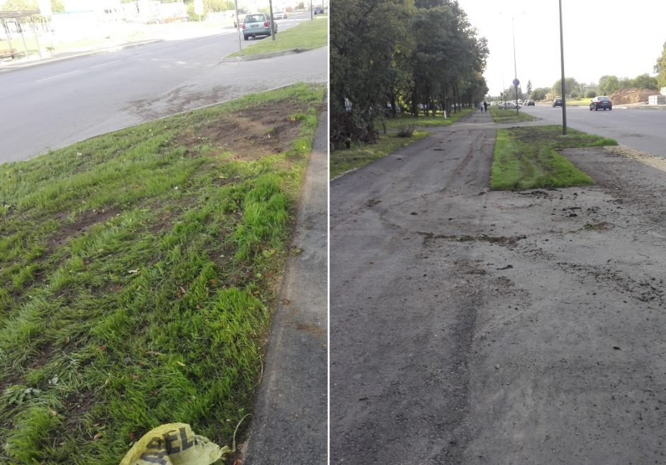 Dėl darbų kokybės stveriasi už galvos: visiškas bukumas ir nemokšiškumas?