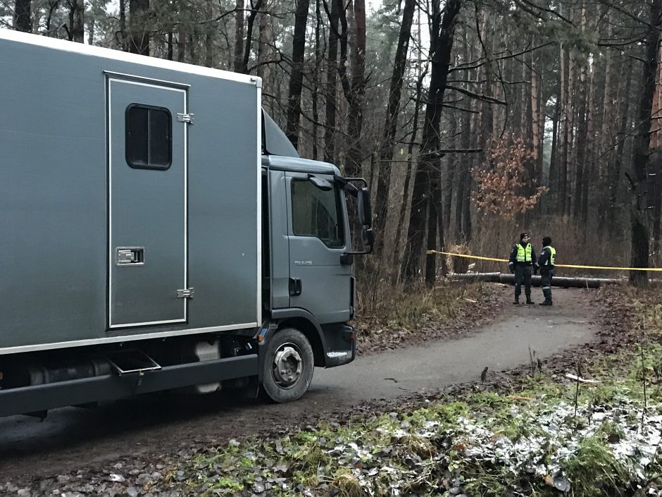 Kas pavertė Kleboniškio mišką sprogdinimų poligonu?