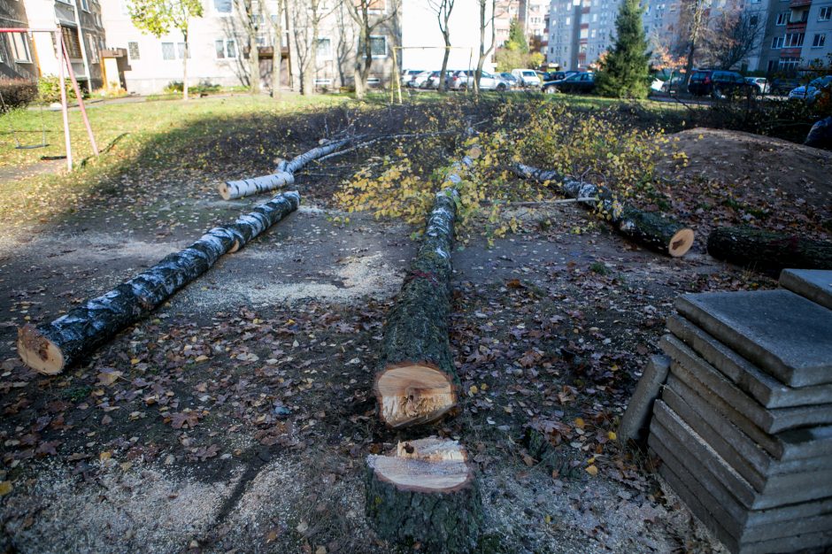 Įžūlu: Kaune medžius išpjovė be leidimų – gresia tūkstantinė bauda