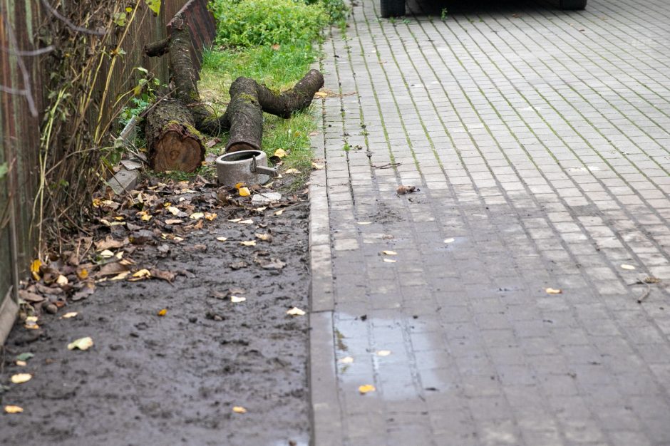 Žmonių neabejingumas daro stebuklus: iš kankynės Sargėnuose – į prieglaudą