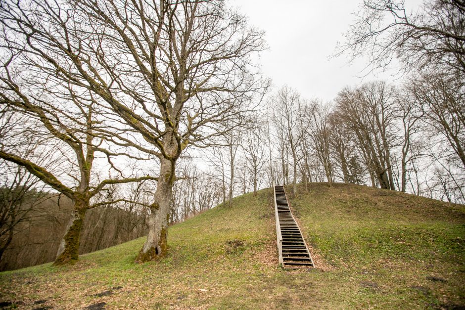 Pakarklės miškas – tikras lobynas: yra sakančių, kad čia Lietuvos Šveicarija