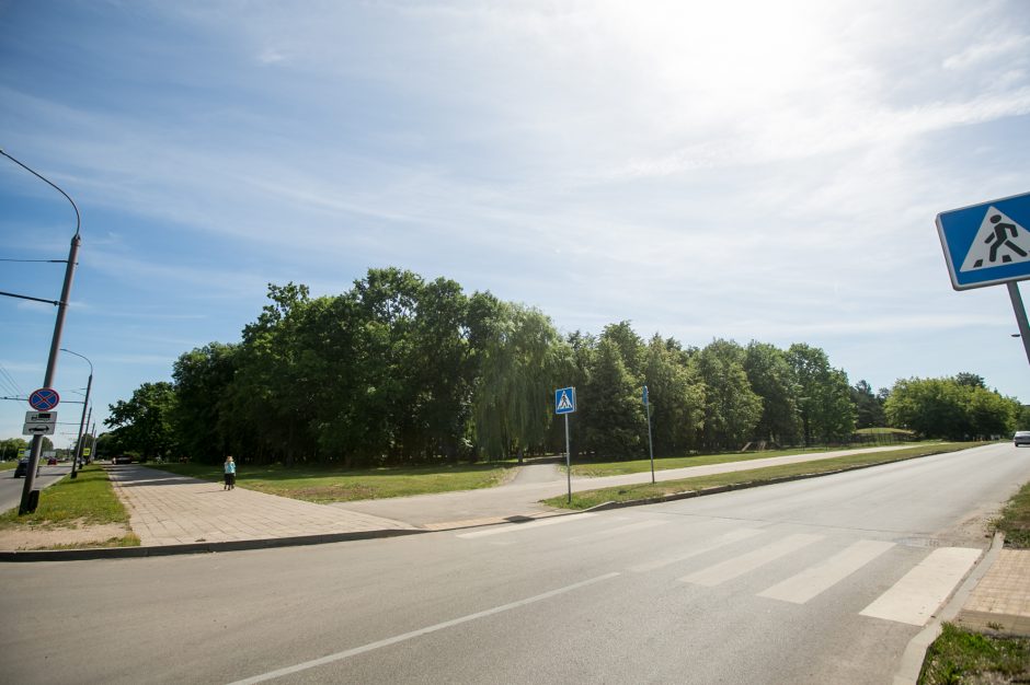 Kodėl atnaujintame parke džiūsta medžiai?