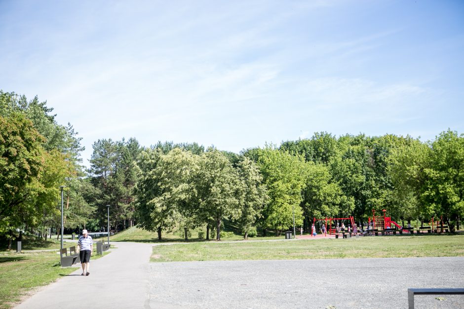 Kodėl atnaujintame parke džiūsta medžiai?