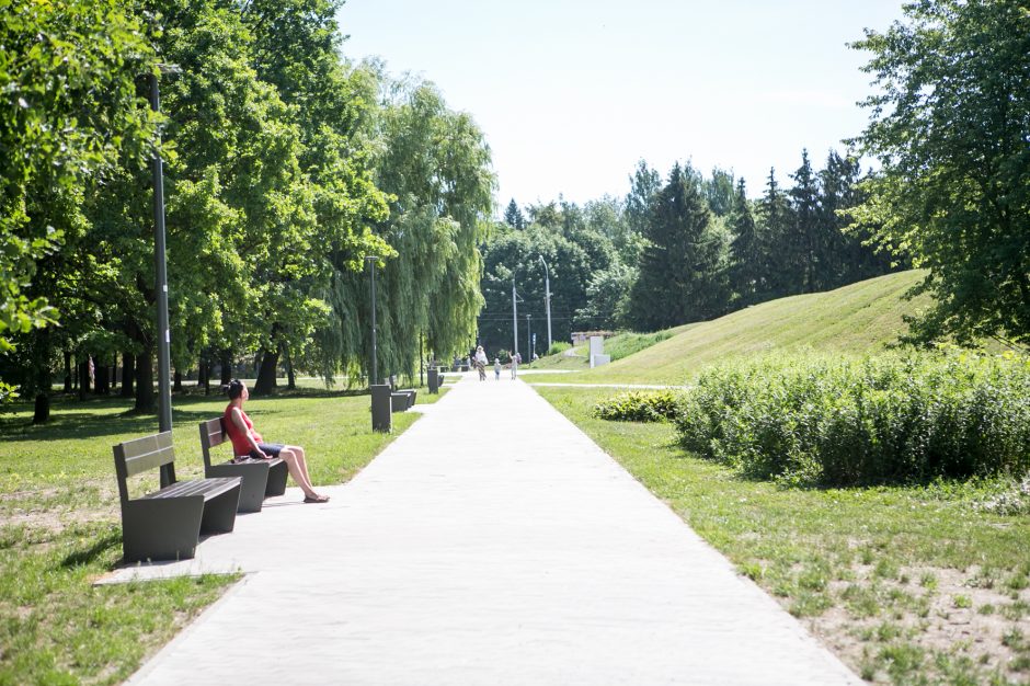 Kodėl atnaujintame parke džiūsta medžiai?