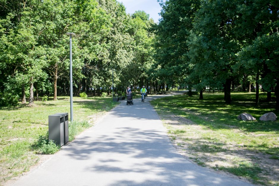 Kodėl atnaujintame parke džiūsta medžiai?