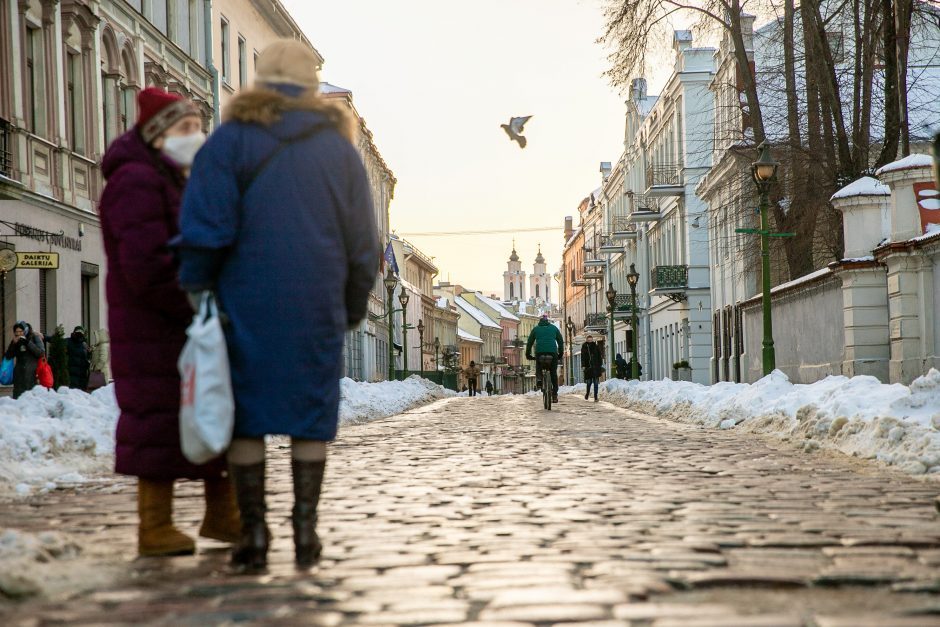 Kaunas patvirtino 2021 metų biudžetą: kam skiriama daugiausia?