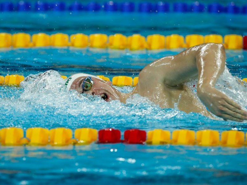 Plaukikas D. Rapšys Pietų Korėjoje pateko į pusfinalį