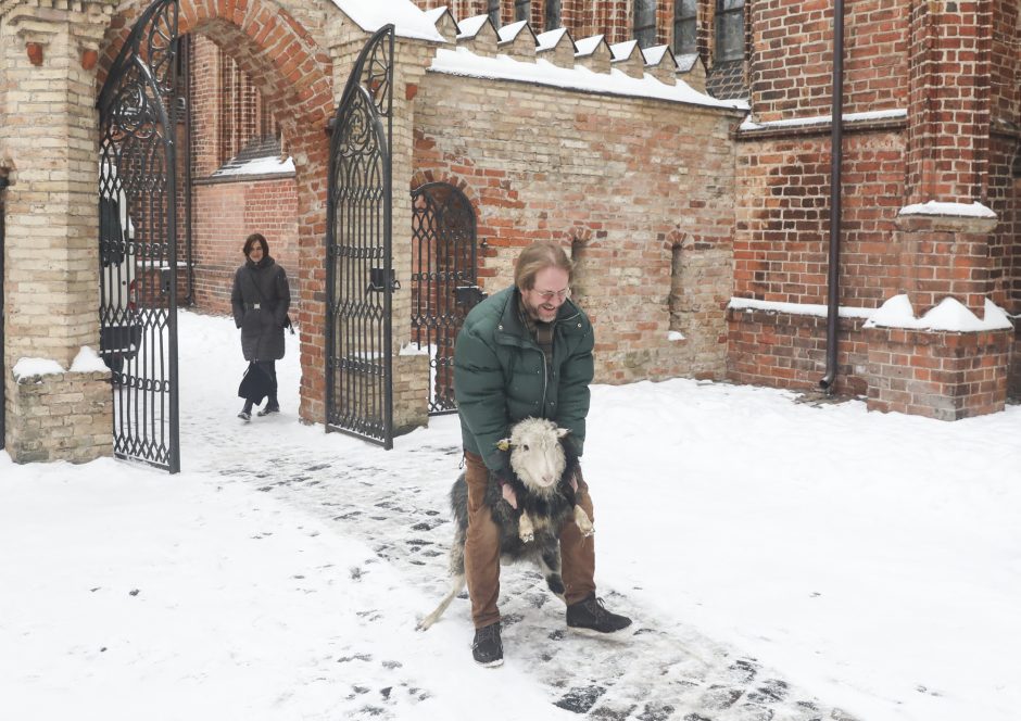 Asiliukas Valentinas ir avytės Bernardinuose gyvens iki Trijų Karalių