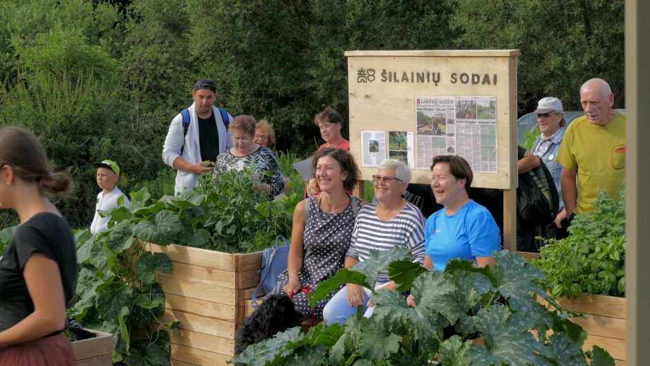 Miesto sodai Šilainiuose: daugiau nei pačių užauginti ridikėliai