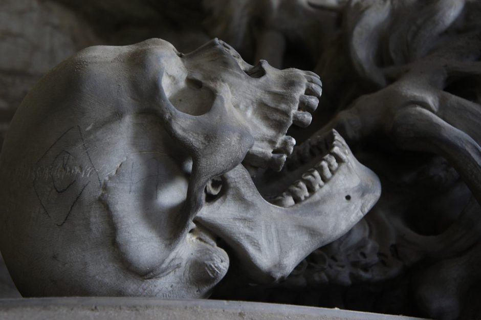 Rastą 400 tūkst. metų senumo kaukolę gaubia paslaptys