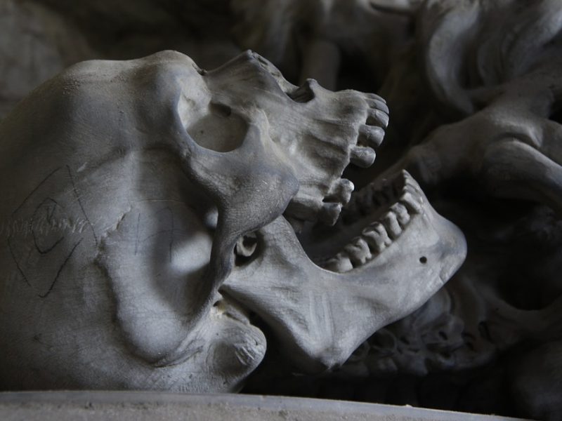 Panevėžyje rastos dvi žmogaus kaukolės