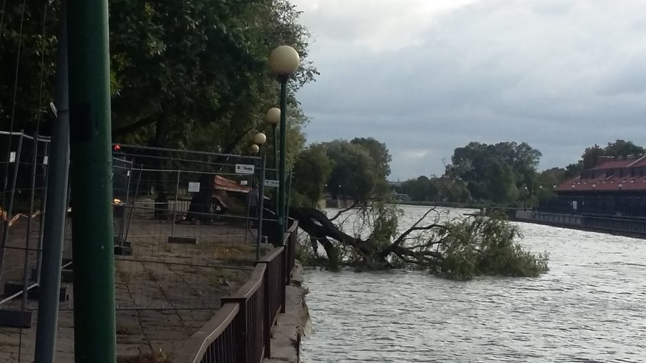 Nevaldoma situacija pajūryje: medžiai virto ant mašinų, vis dar ribojama laivyba