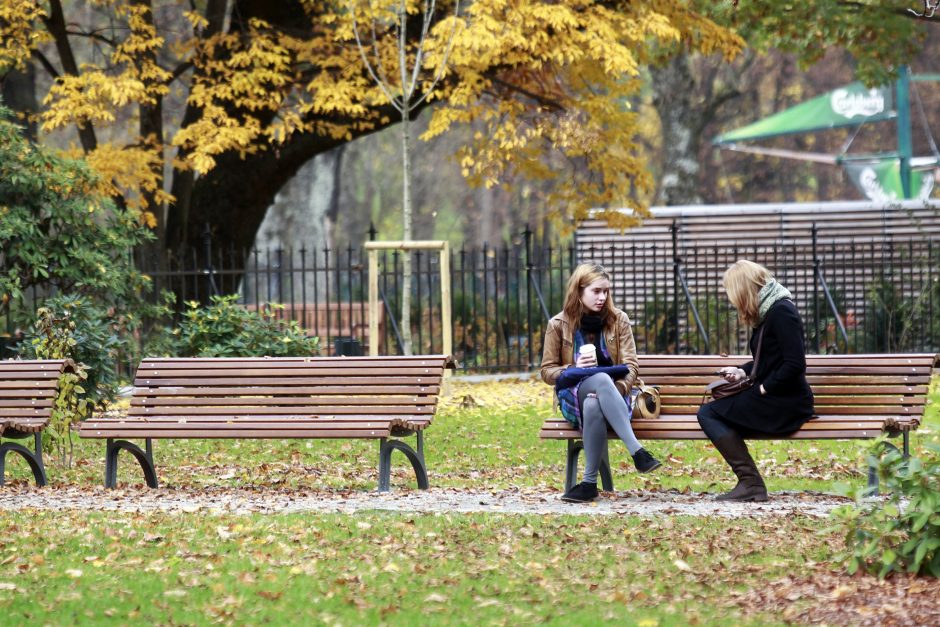 Kūrybinė savaitė kvies gaivinti Vilniaus parkus