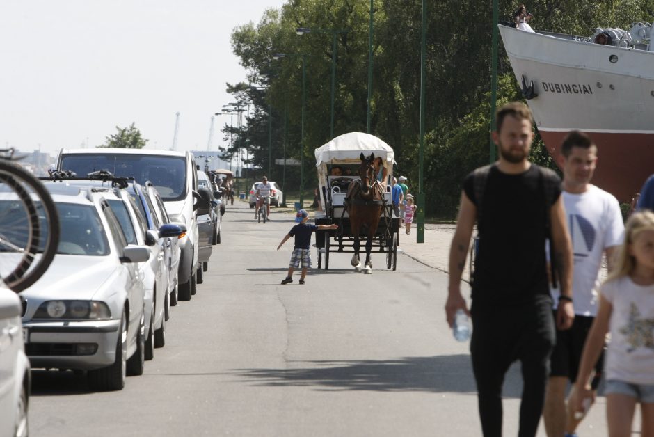 Už automobilių stovėjimą teks mokėti ir Smiltynėje?