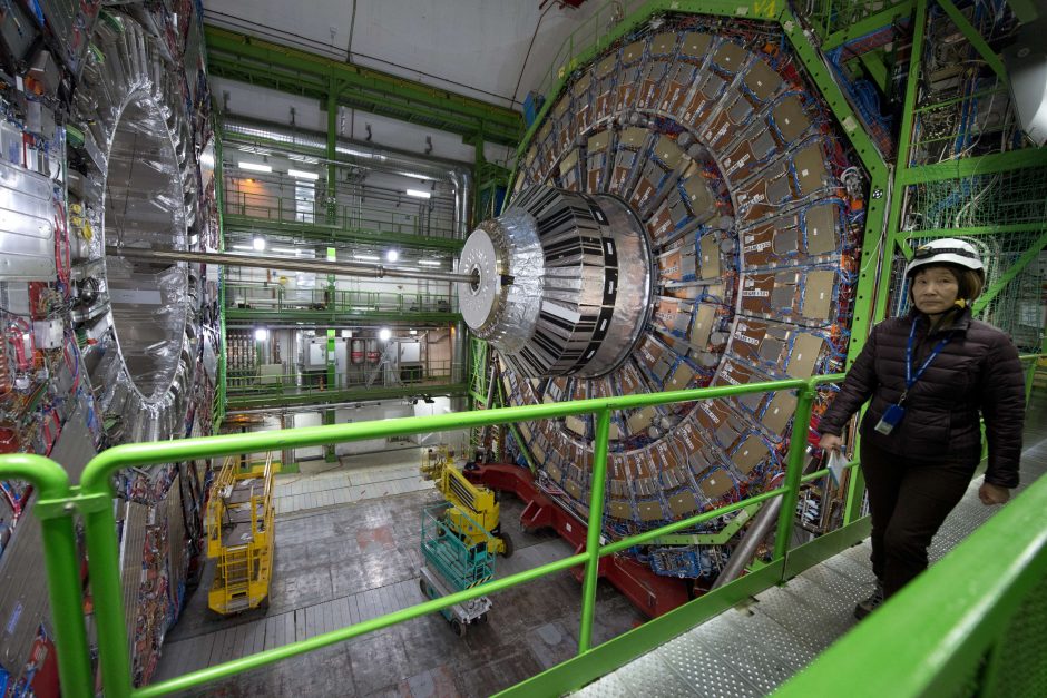 Didysis hadronų greitintuvas išsijungė dėl kiaunės sukelto trumpojo jungimo