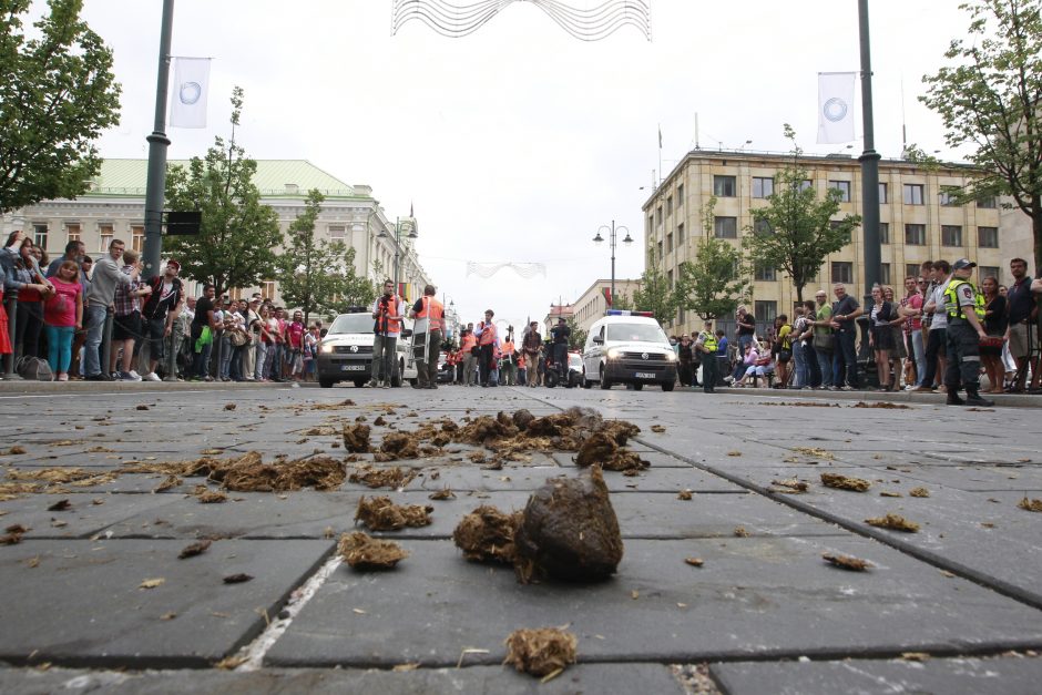 Seksualinių mažumų eitynės sostinėje