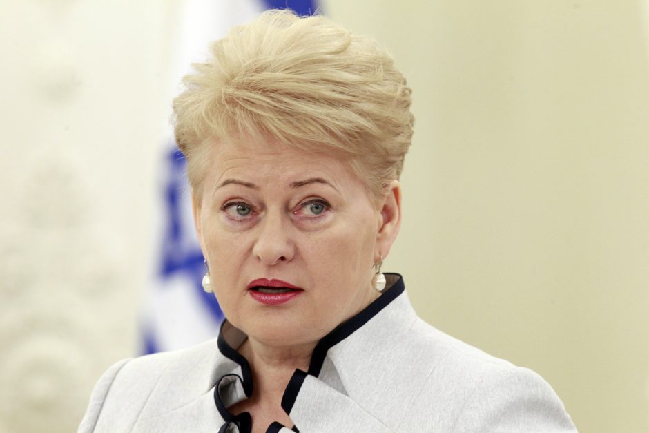 S.Pereso susitikimas su D.Grybauskaite