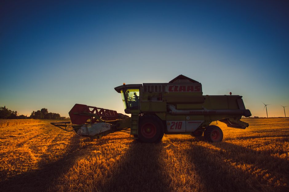 Žemdirbiams dėl liūčių gresia nuostoliai 