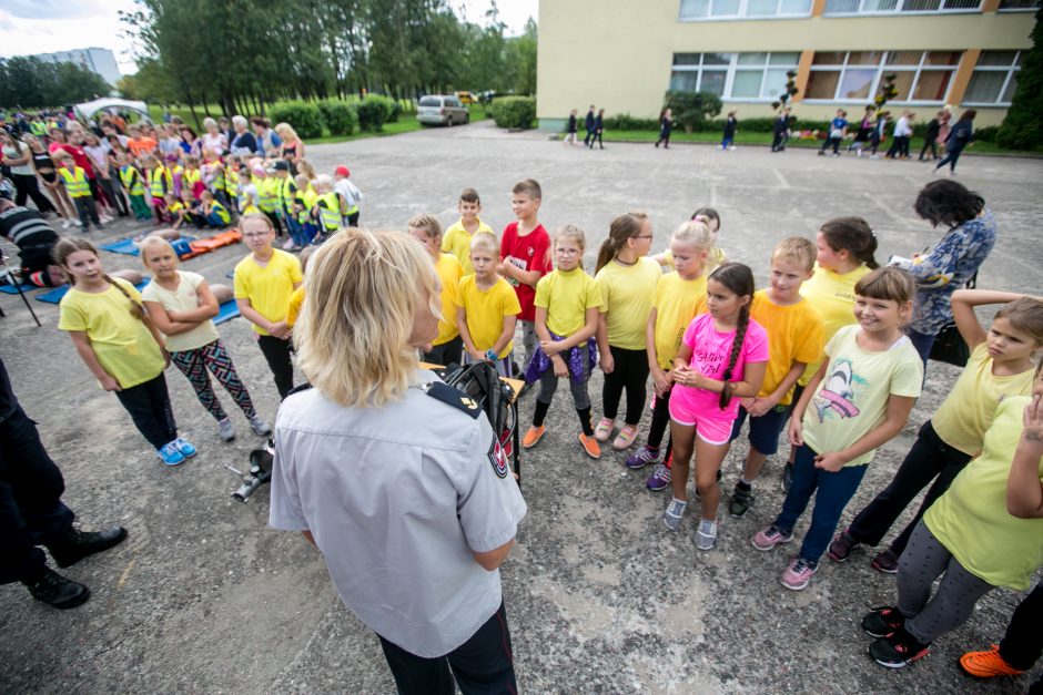 Pilietiškumo pamoka „Tau, Lietuva!“