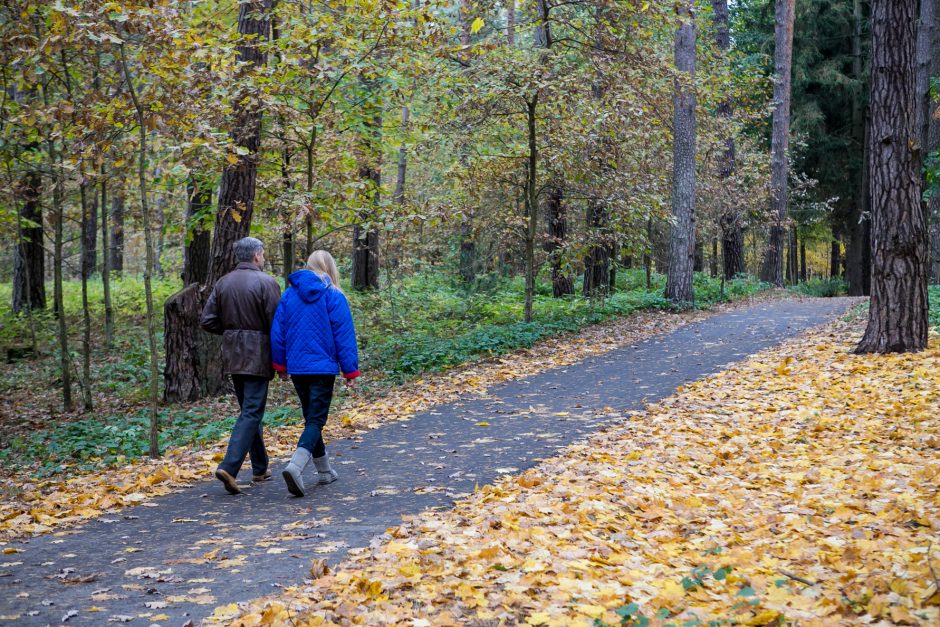 Teismas: Eglės ir Gintaro vaikai buvo paimti teisėtai