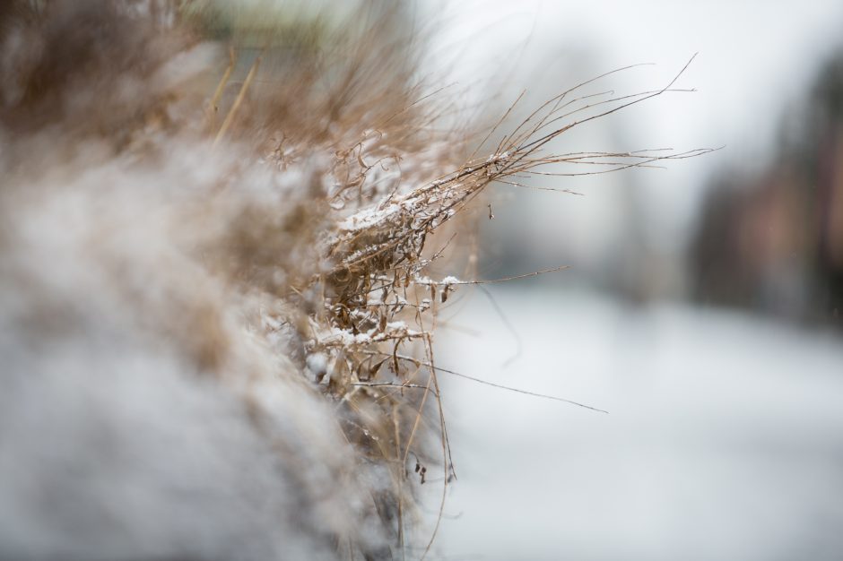 Sekmadienį Kauną nuklojo sniegas