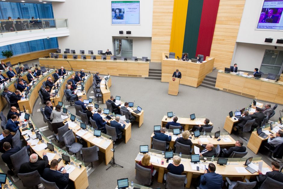 Seimas patvirtino 2019 metų biudžetą