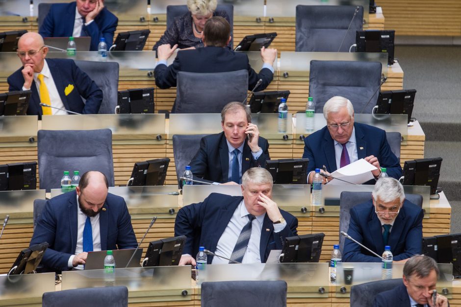 Seimas patvirtino 2019 metų biudžetą