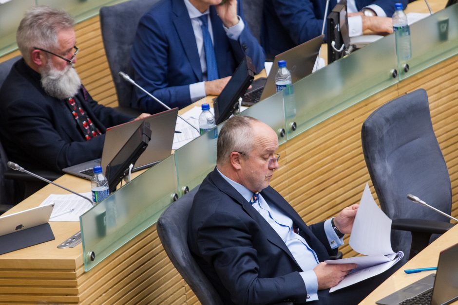 Seimas patvirtino 2019 metų biudžetą