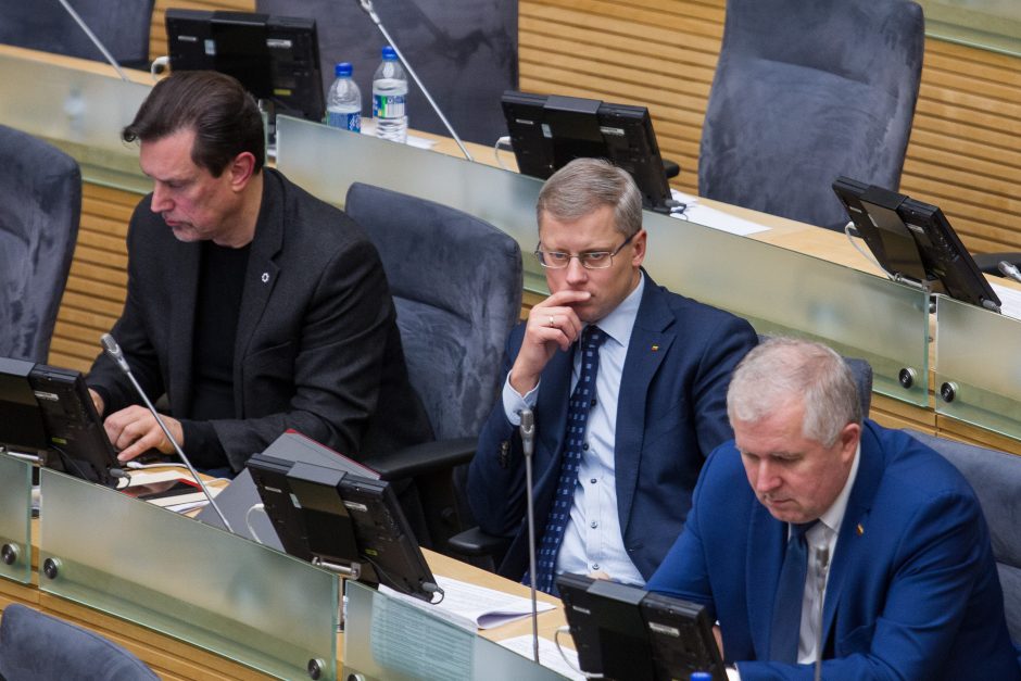 Seimas patvirtino 2019 metų biudžetą