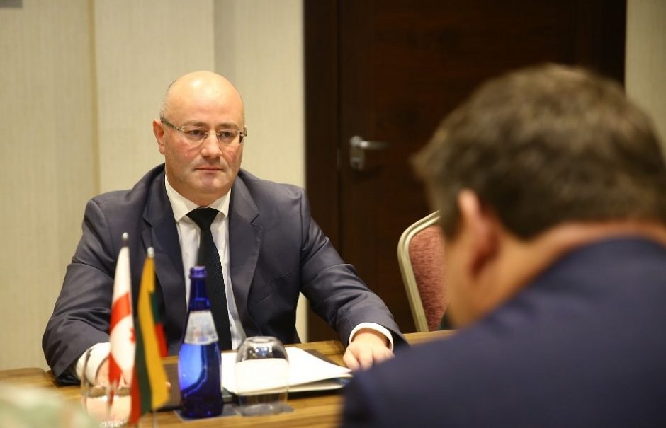 R. Karoblis Batumyje susitiko su Gruzijos gynybos ministru