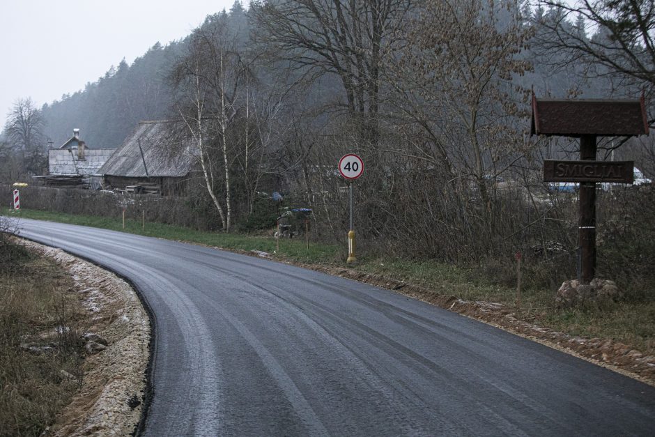 R. Karbauskis apie asfaltuojamą premjero kelią: konservatoriai pamoką gavo