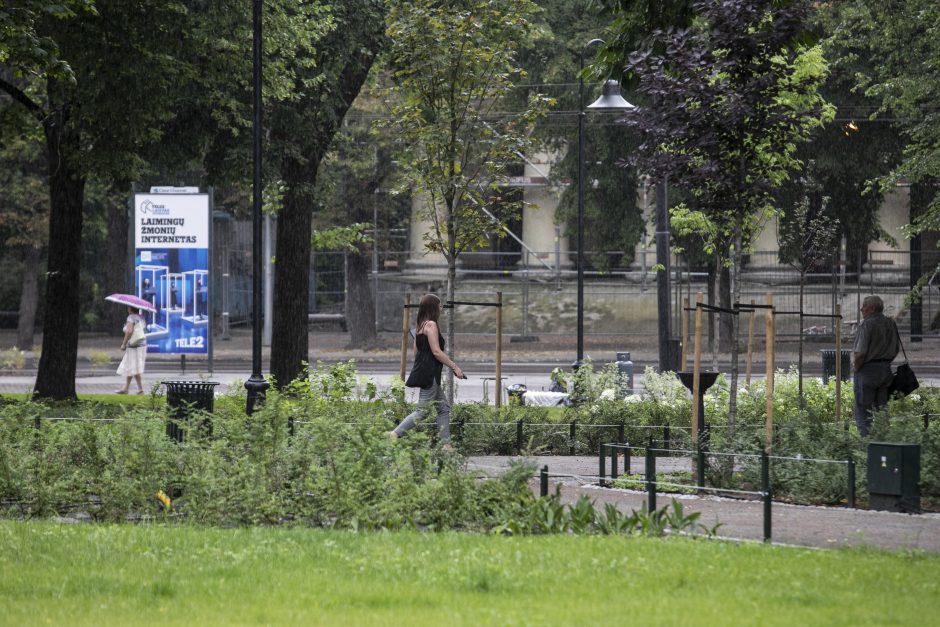 Sostinėje atidaromas atnaujintas Reformatų sodas