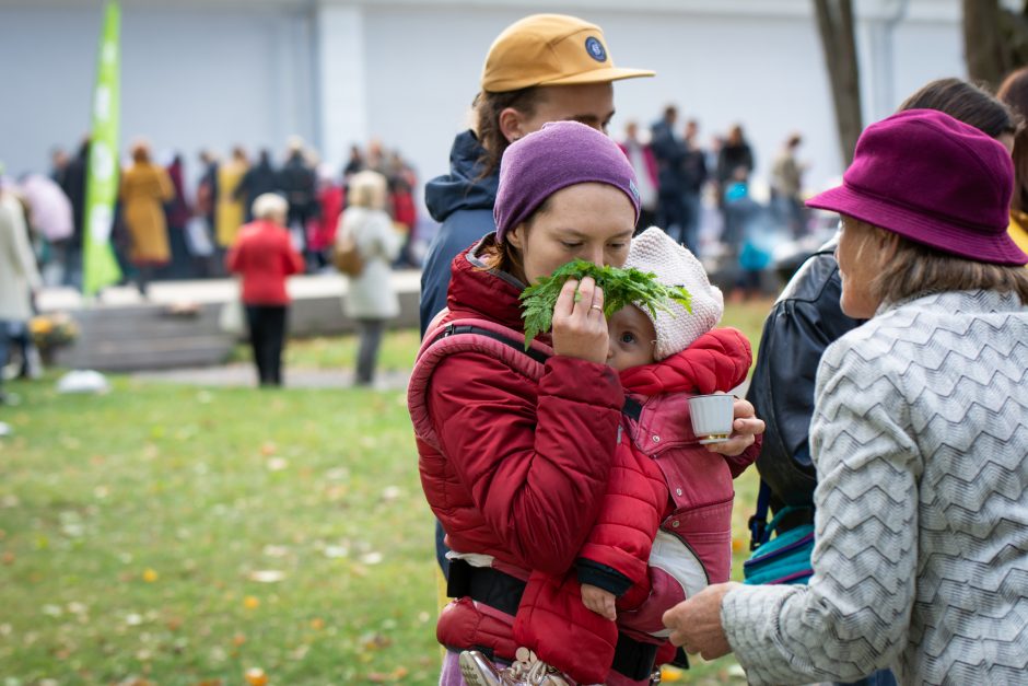 Sveiko maisto šventė: iškyla neapsiriboja tik šašlykais ir traškučiais