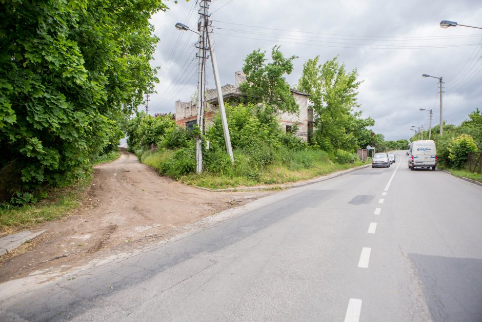 Chemijos gatvės atkarpai suteiktas paukščio vardas