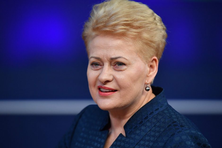 D. Grybauskaitė pasveikino V. Zelenskį su pergale