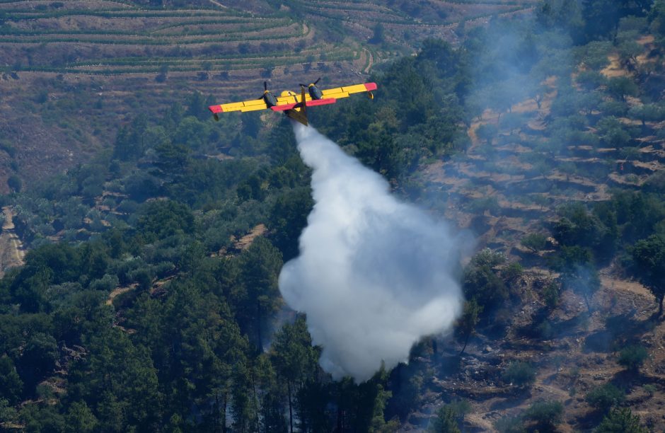 Portugalijoje įsiplieskė nauji miškų gaisrai
