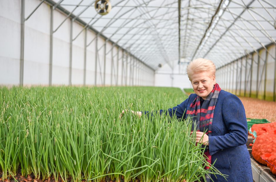 D. Grybauskaitė kviečia emigrantus imtis verslo Lietuvoje