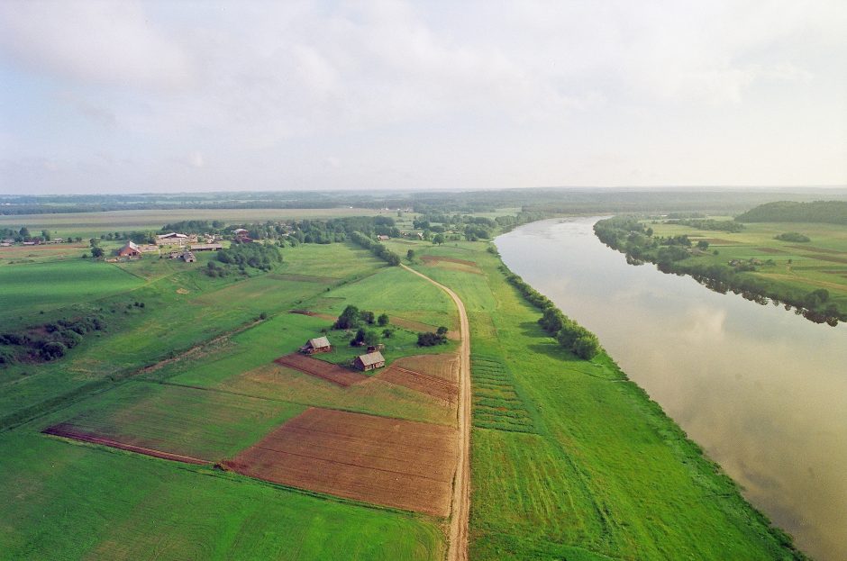 Jau galima teikti paraiškas dėl pasėlių ir augalų draudimo kompensacijų