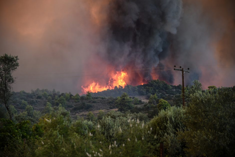 Miško gaisras Graikijos saloje privertė evakuoti du kaimus