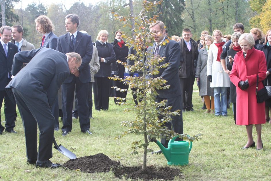 Lietuvoje prigijo ne tik princo Philipo medis, bet ir idėjos