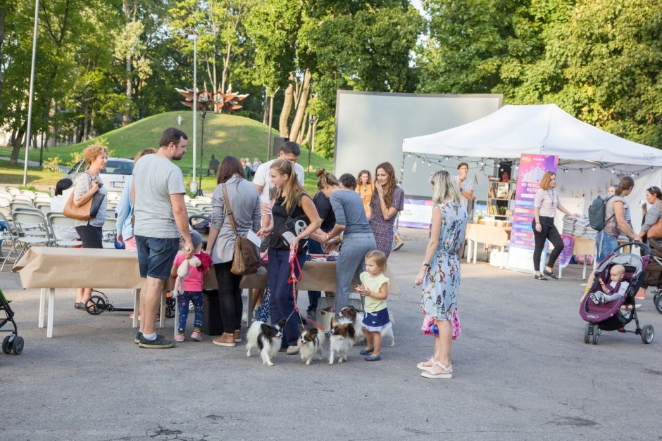 Nemiegantys Vilniaus rajonai: ką veikti vakare Žirmūnuose