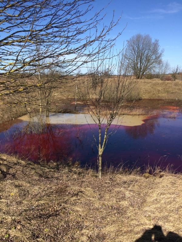 Aplinkosaugininkai kreipsis į prokuratūrą dėl tyčinės taršos Vilniaus rajone