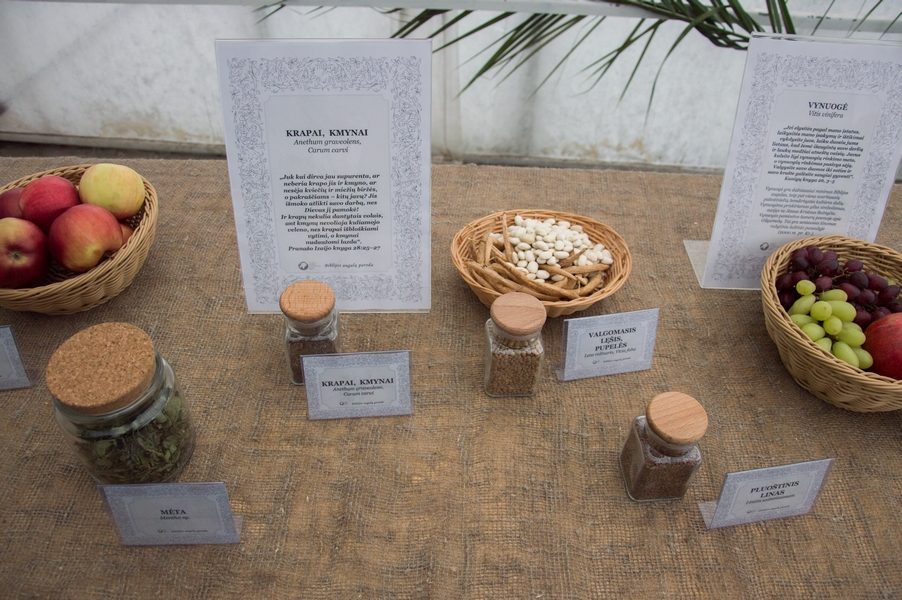 Biblijos augalų parodoje – nuo teisingumo simbolių iki augalų-ėriukų
