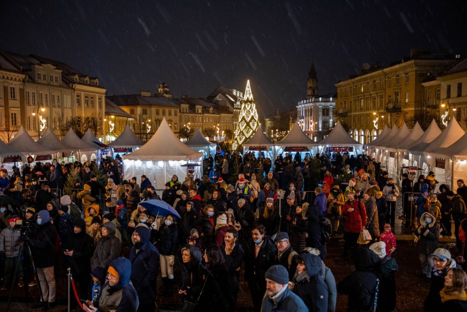 Vilniaus rotušėje įžiebta kalėdinė eglutė