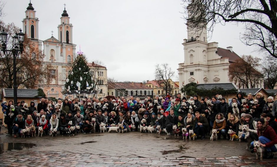 Užuosti Kalėdų oras nesutrukdė