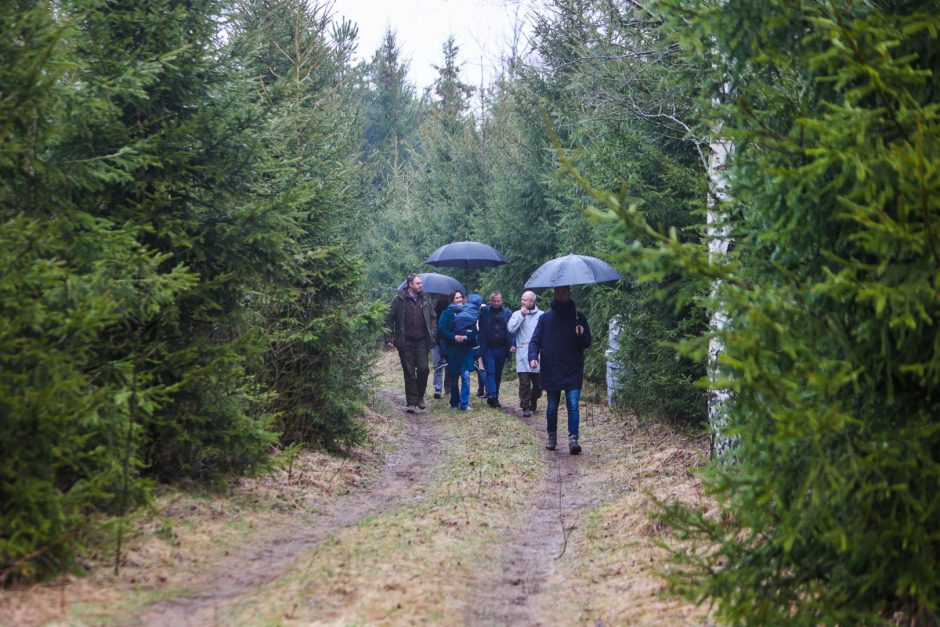 Nacionalinis miškasodis: daugiau nei 1,5 tūkst. žmonių įveisė mišką 50 žemės sklypų