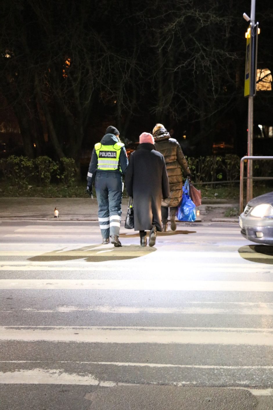 Pareigūnai ragina rūpintis savo saugumu: daugelis žuvusių neturėjo atšvaitų