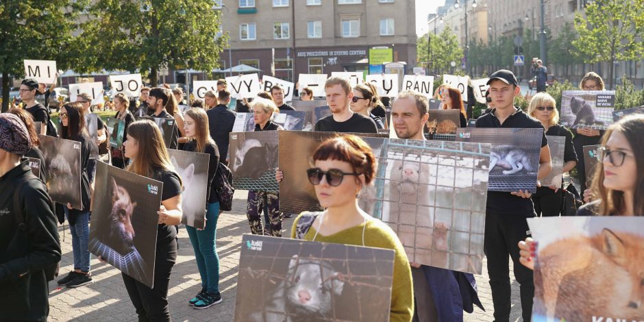 Protestas prie Seimo: parlamentarams parodyti gyvūnų lavonai