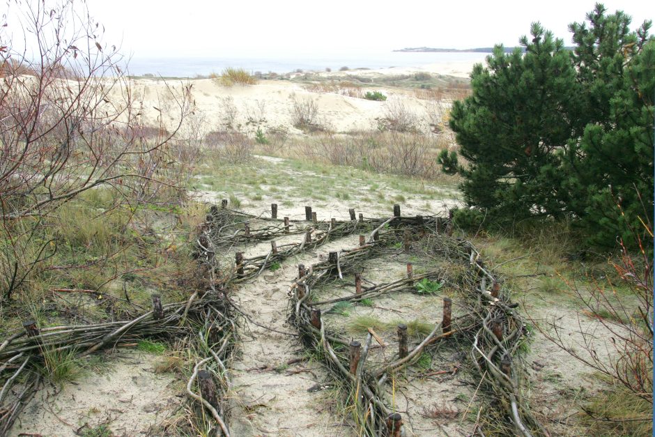 Kuršių nerijoje atliekami ekogeografiniai tyrimai