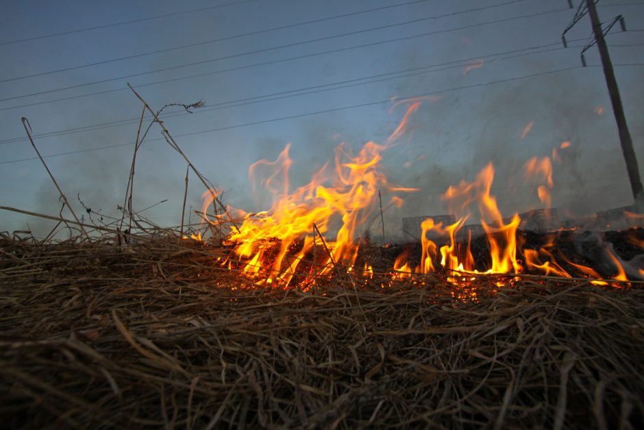 Lietuvoje vėl deginama pernykštė žolė, kyla gaisrai